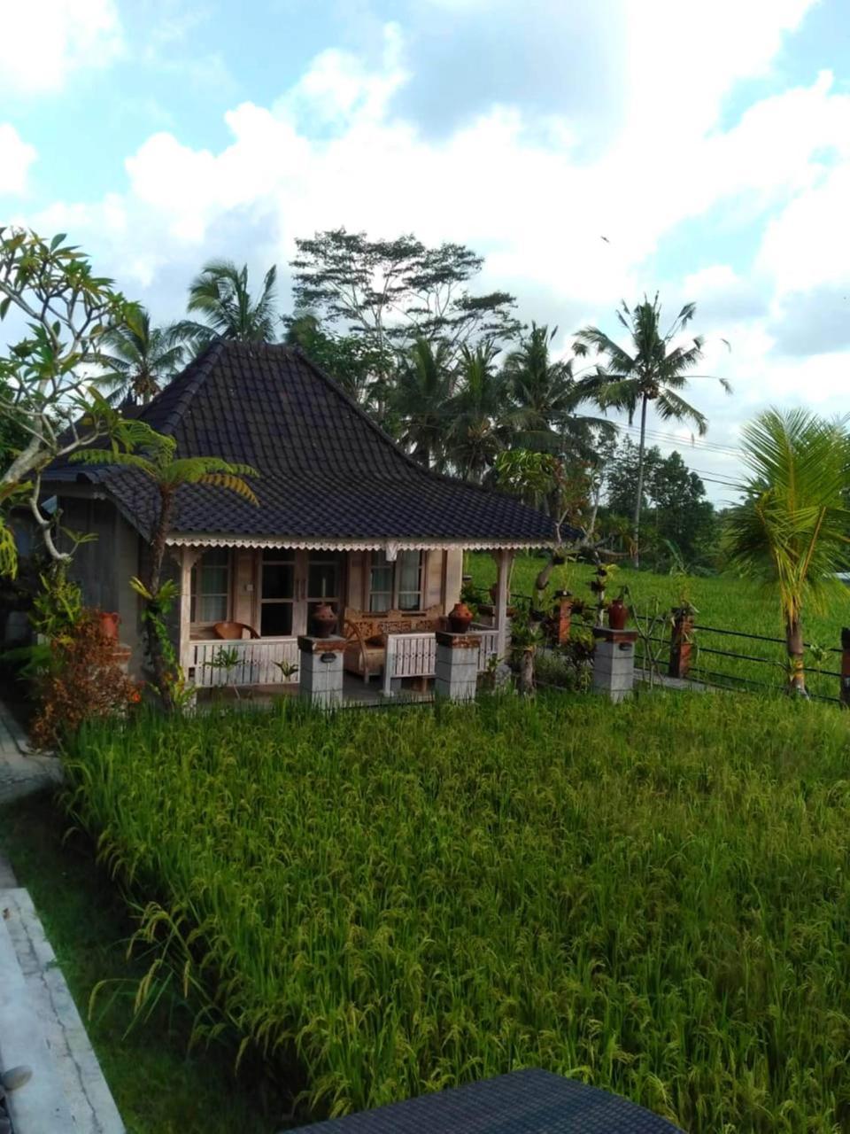 Uma Caming Villas & Gym Tegallalang  Exteriér fotografie