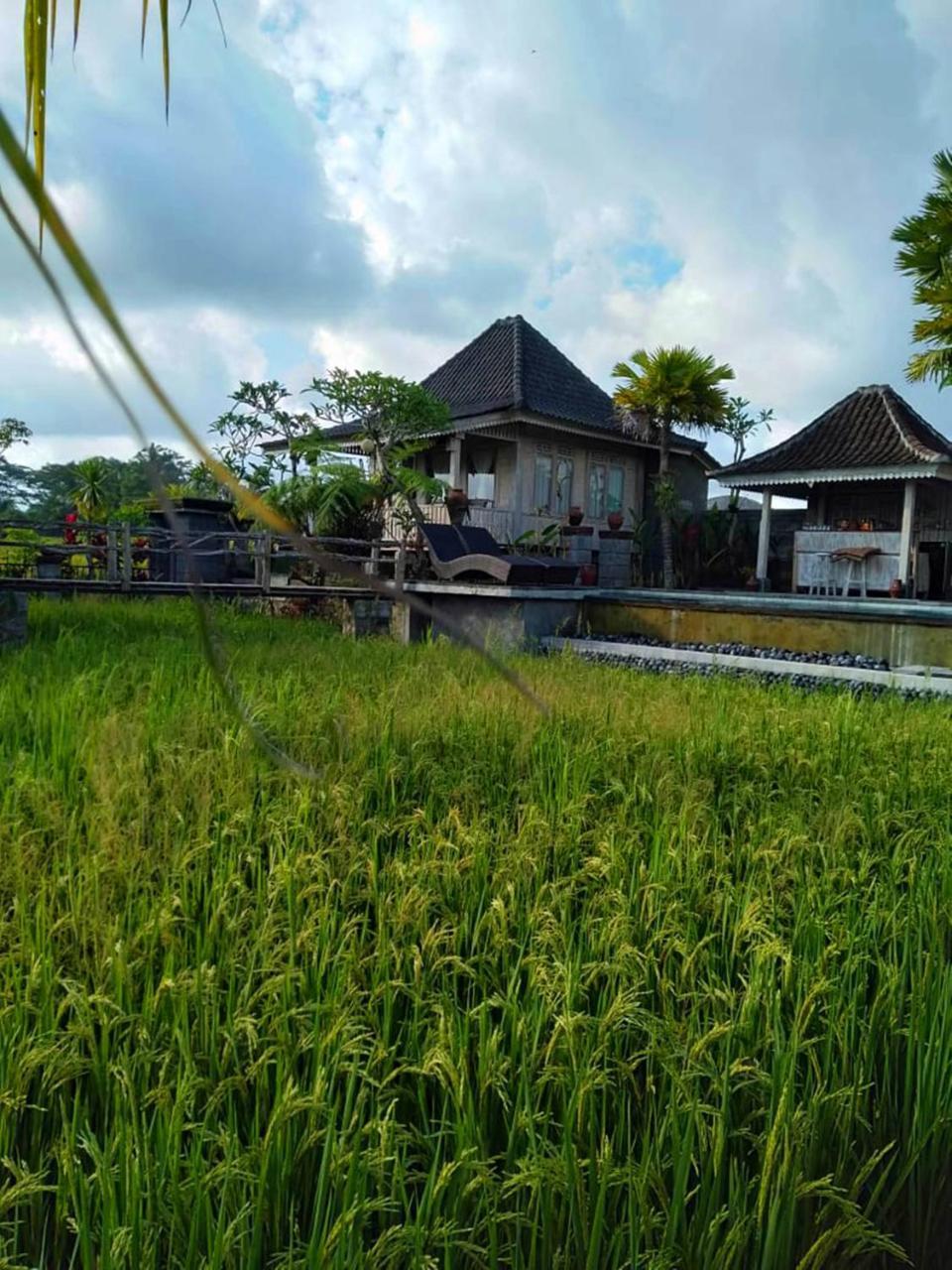 Uma Caming Villas & Gym Tegallalang  Exteriér fotografie
